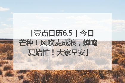 壹点日历6.5｜今日芒种！风吹麦成浪，蝉鸣夏始忙！大家早安
